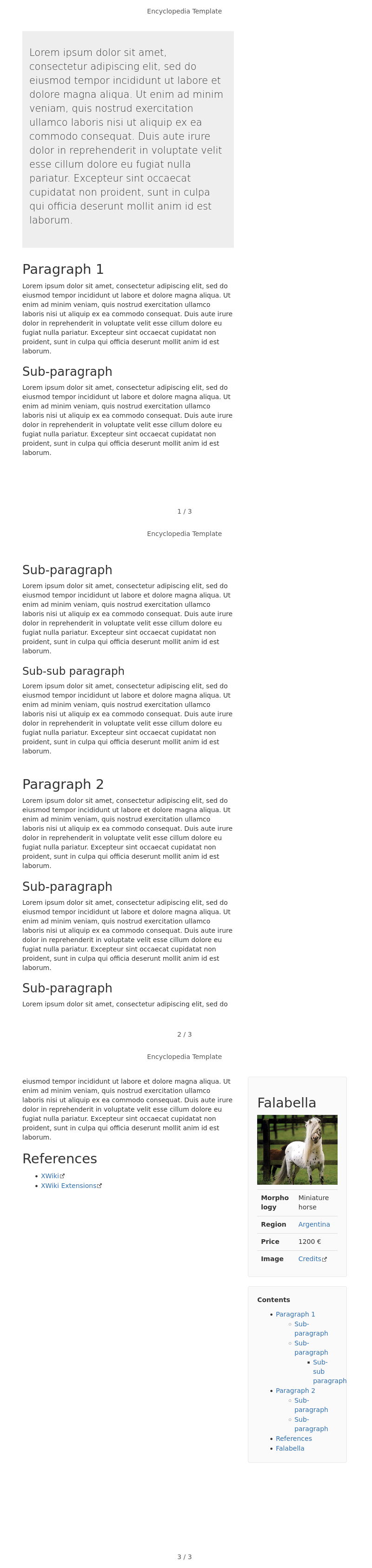 Encyclopedia-Template-PDF-before