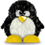ppantiru